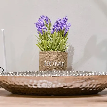 Skg Center Apartman *